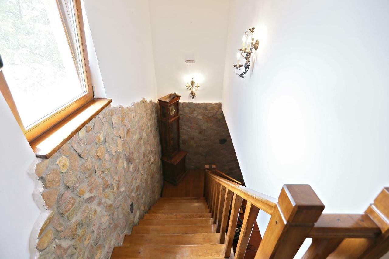 Pensiunea Sanmartin Extérieur photo
